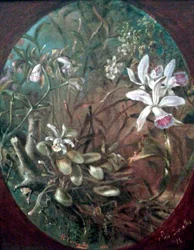 Parasieten
